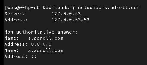nslookup returning 0.0.0.0 with pi-hole DNS blackhole